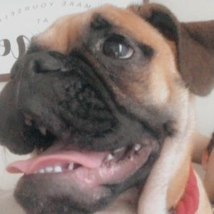 Meet your Posher, Zac